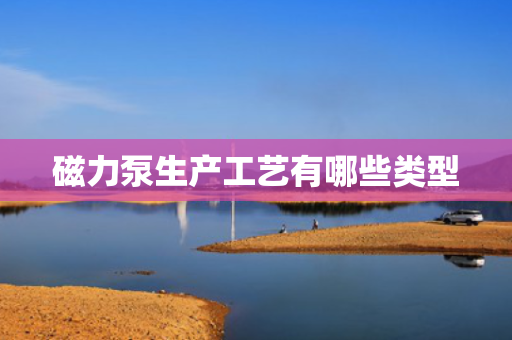 磁力泵生产工艺有哪些类型