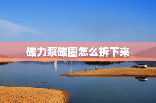 磁力泵磁圈怎么拆下来