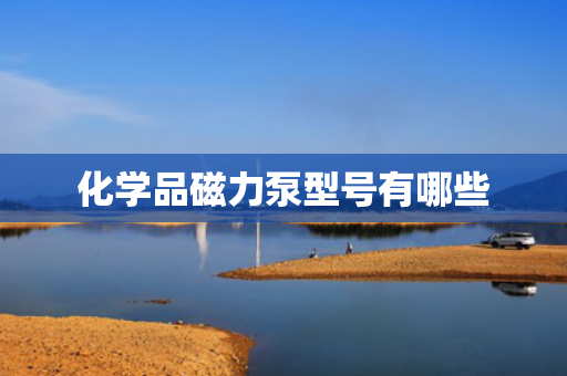 化学品磁力泵型号有哪些