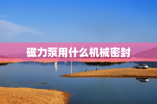 磁力泵用什么机械密封