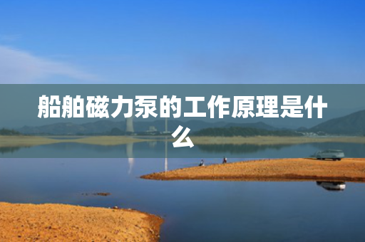 船舶磁力泵的工作原理是什么