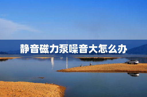 静音磁力泵噪音大怎么办