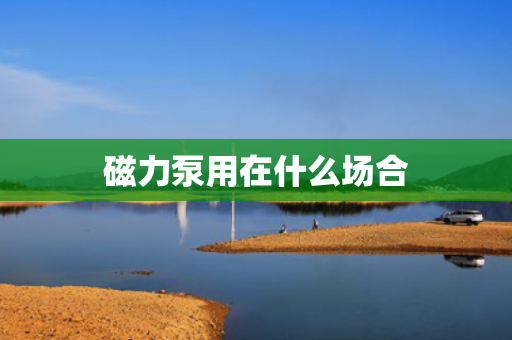 磁力泵用在什么场合