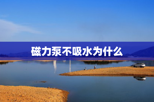 磁力泵不吸水为什么