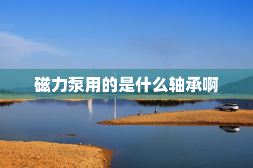 磁力泵用的是什么轴承啊