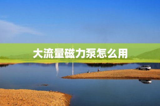 大流量磁力泵怎么用