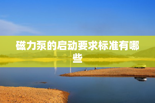 磁力泵的启动要求标准有哪些