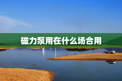 磁力泵用在什么场合用