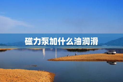 磁力泵加什么油润滑