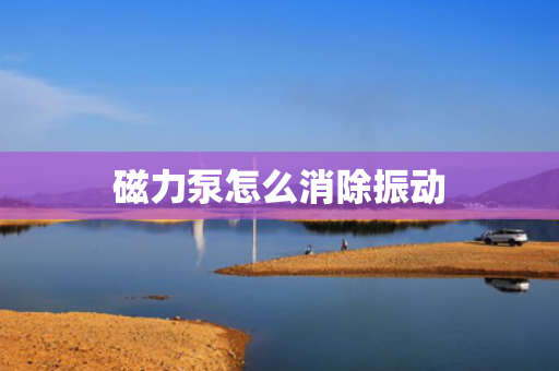 磁力泵怎么消除振动