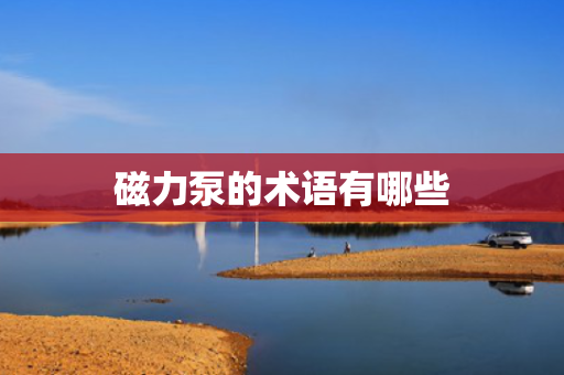 磁力泵的术语有哪些