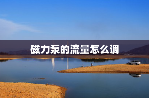 磁力泵的流量怎么调