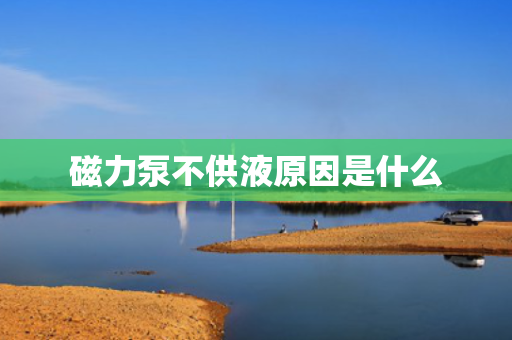 磁力泵不供液原因是什么