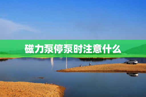 磁力泵停泵时注意什么