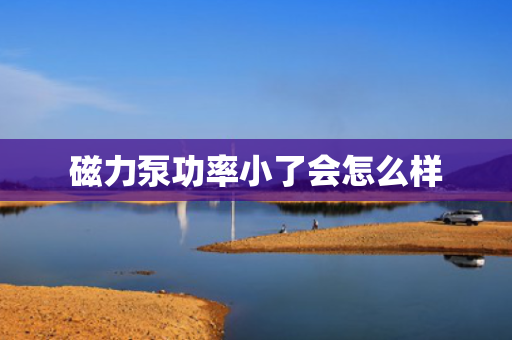 磁力泵功率小了会怎么样