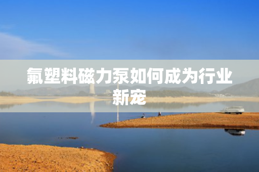 氟塑料磁力泵如何成为行业新宠