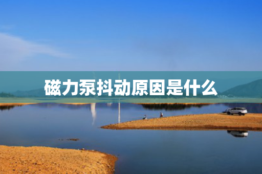 磁力泵抖动原因是什么