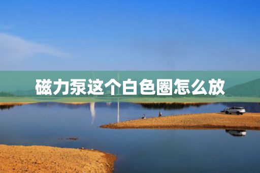 磁力泵这个白色圈怎么放