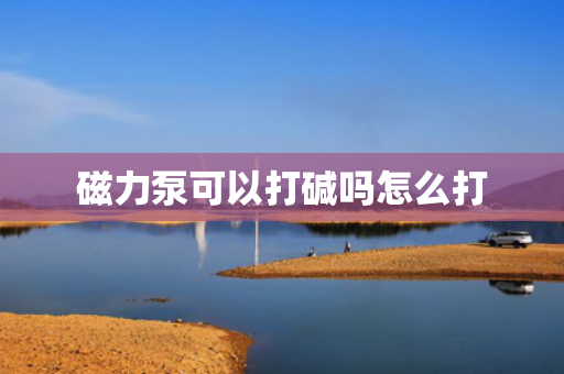 磁力泵可以打碱吗怎么打