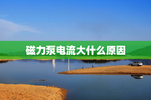 磁力泵电流大什么原因