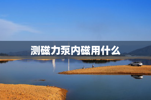 测磁力泵内磁用什么