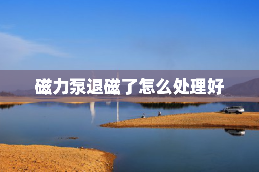 磁力泵退磁了怎么处理好