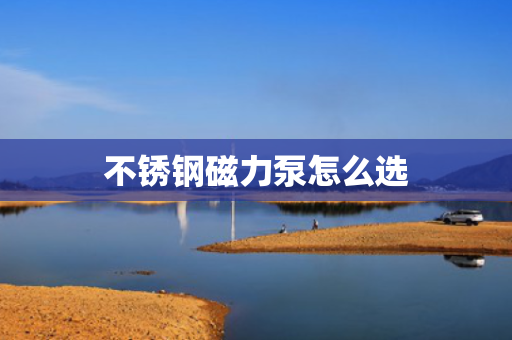 不锈钢磁力泵怎么选