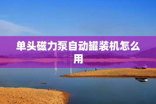 单头磁力泵自动罐装机怎么用