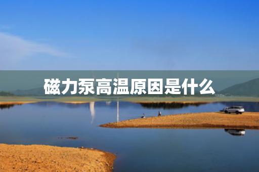 磁力泵高温原因是什么