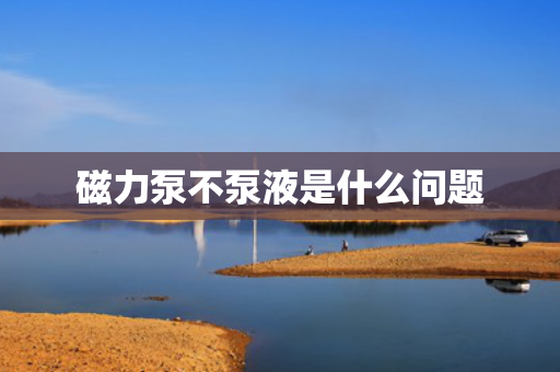 磁力泵不泵液是什么问题