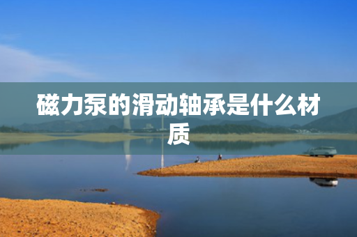 磁力泵的滑动轴承是什么材质