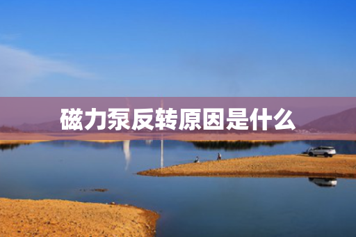 磁力泵反转原因是什么