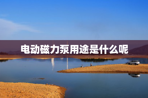 电动磁力泵用途是什么呢