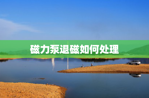 磁力泵退磁如何处理