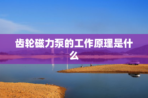 齿轮磁力泵的工作原理是什么