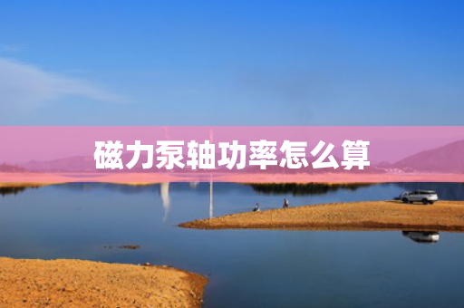 磁力泵轴功率怎么算