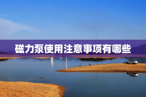 磁力泵使用注意事项有哪些