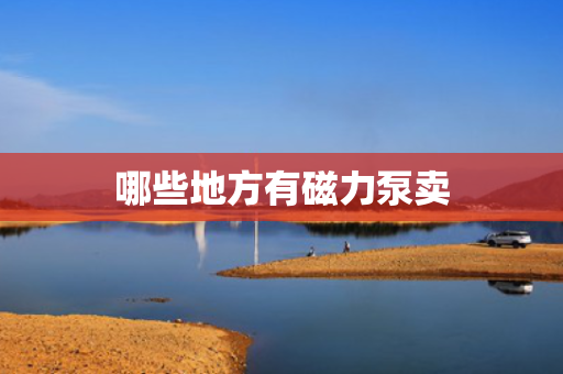 哪些地方有磁力泵卖