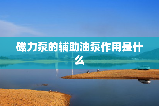 磁力泵的辅助油泵作用是什么