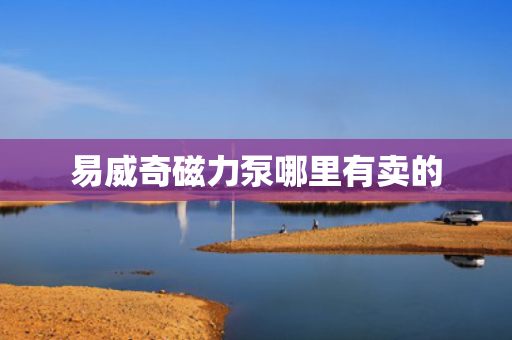 易威奇磁力泵哪里有卖的