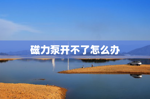 磁力泵开不了怎么办