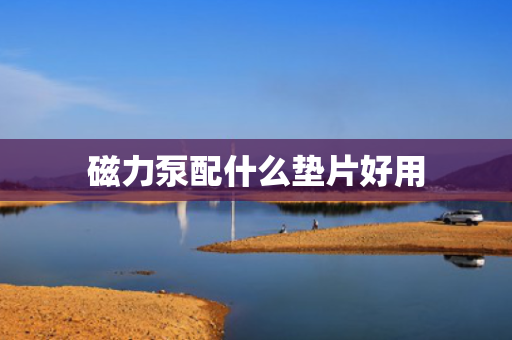 磁力泵配什么垫片好用