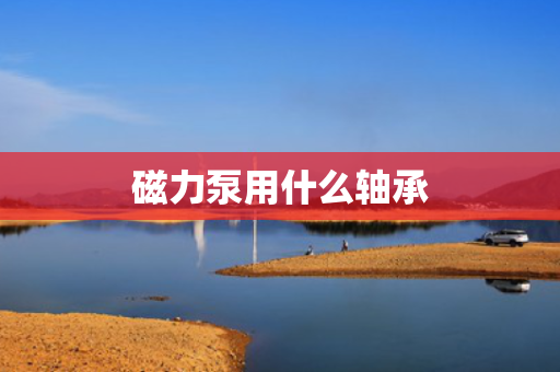 磁力泵用什么轴承