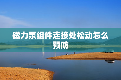 磁力泵组件连接处松动怎么预防