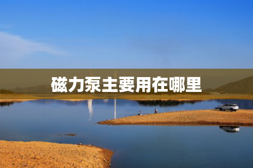 磁力泵主要用在哪里