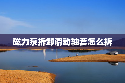 磁力泵拆卸滑动轴套怎么拆