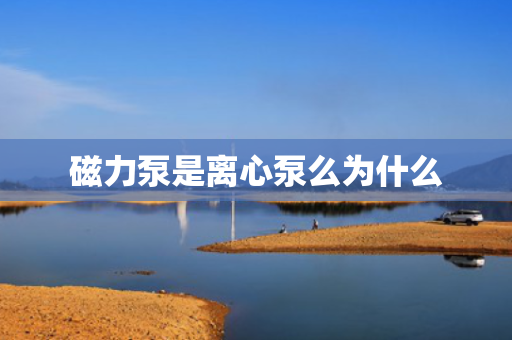 磁力泵是离心泵么为什么