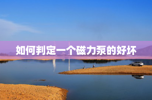 如何判定一个磁力泵的好坏