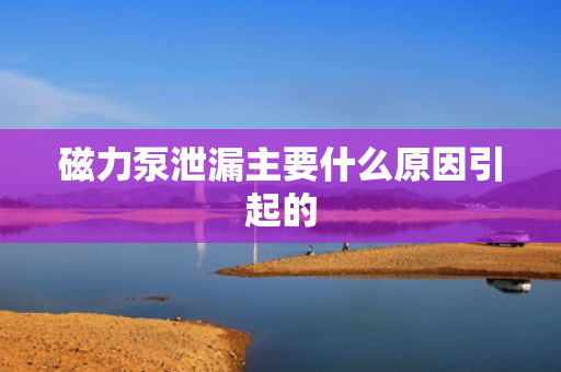 磁力泵泄漏主要什么原因引起的
