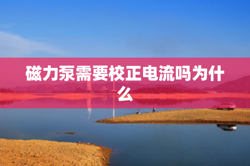 磁力泵需要校正电流吗为什么